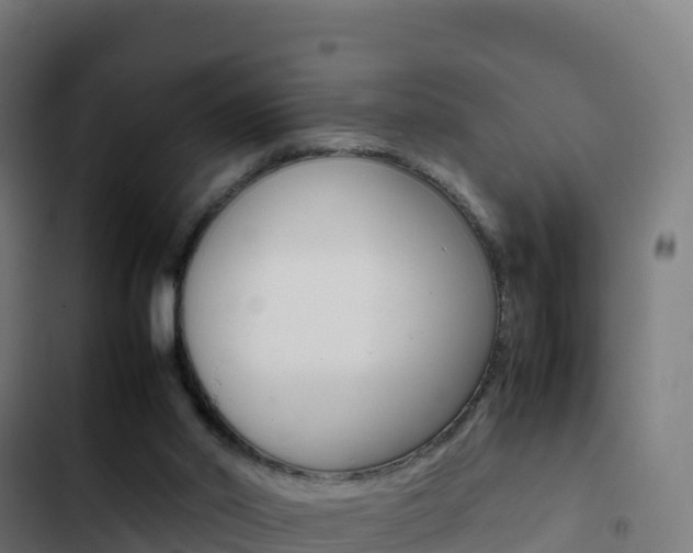 X0000103450014200809121136
