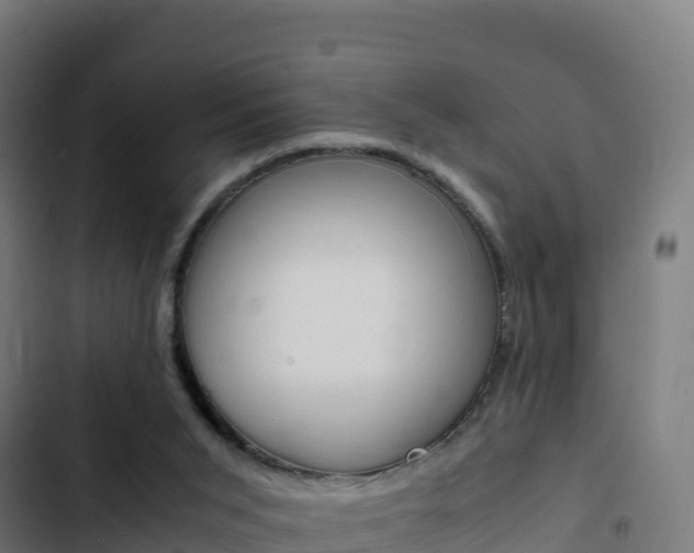 X0000103450015200809121136