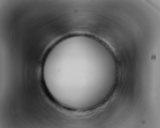 X0000103450016200809121136