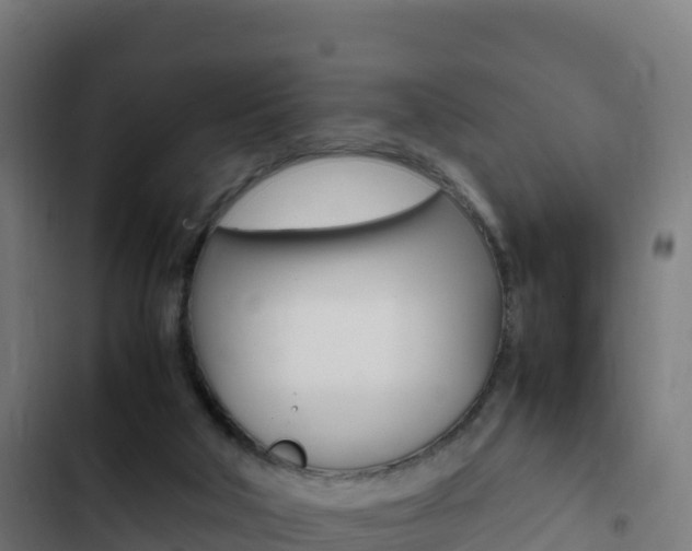 X0000103450018200809121136