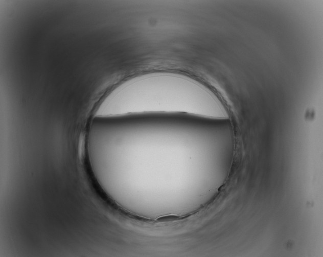 X0000103450019200809121136
