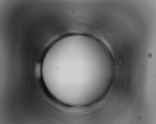 X0000103450020200809121136