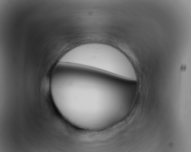 X0000103450021200809121136