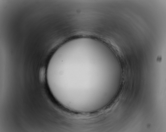 X0000103450024200809121136