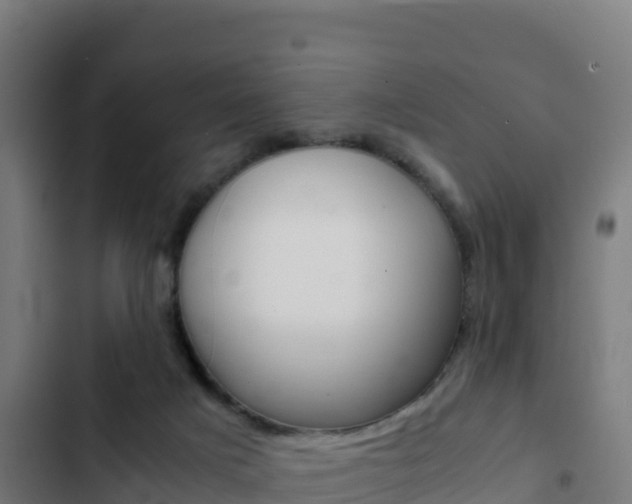 X0000103450025200809121136