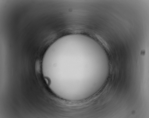 X0000103450026200809121136