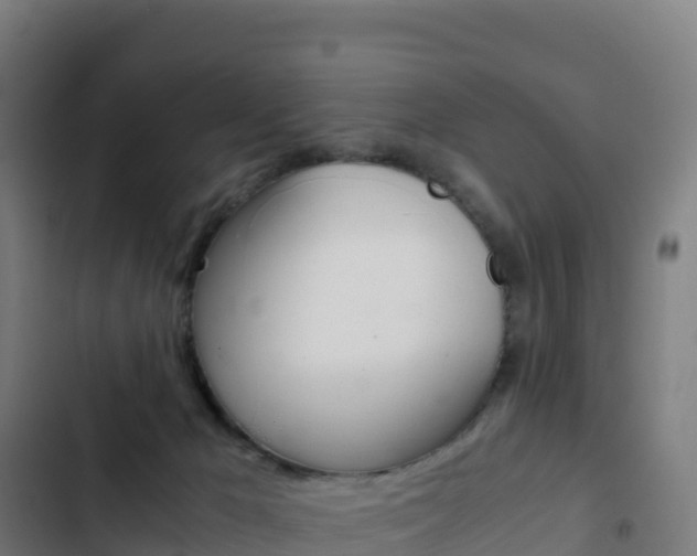X0000103450029200809121136