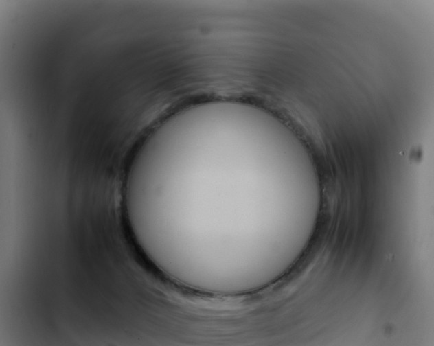 X0000103450032200809121136