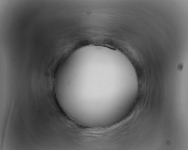X0000103450033200809121136