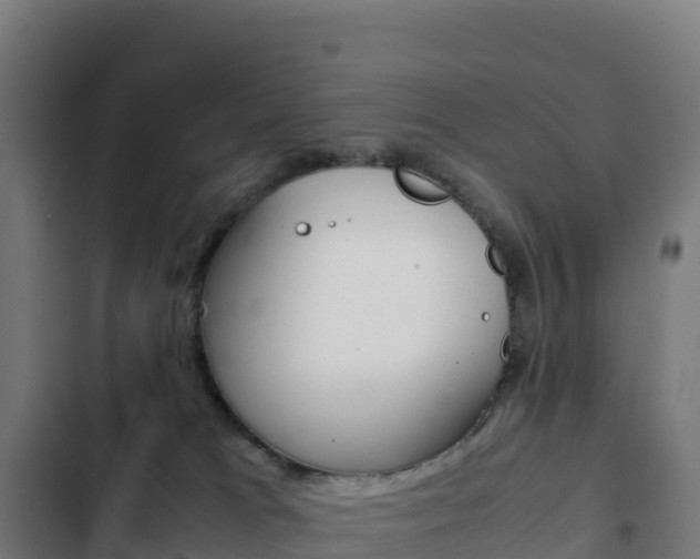 X0000103450037200809121136