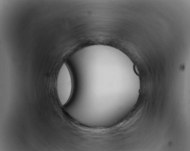 X0000103450040200809121136