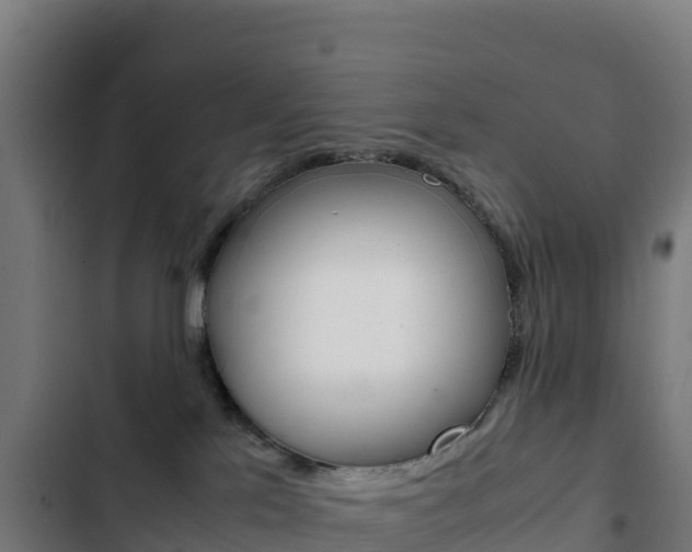 X0000103450041200809121136