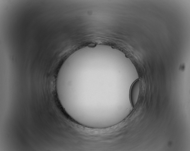 X0000103450043200809121136