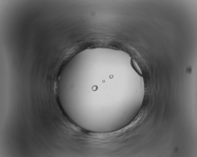 X0000103450045200809121136