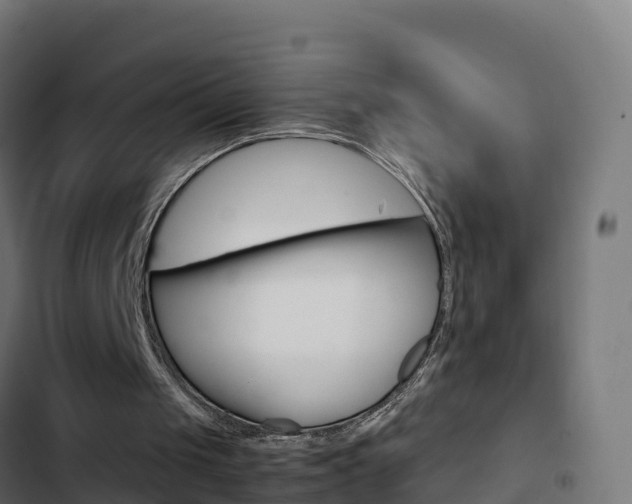 X0000103450049200809121135
