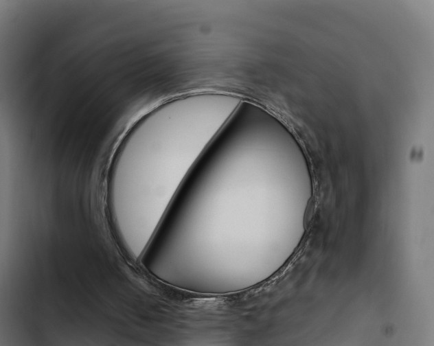 X0000103450050200809121135