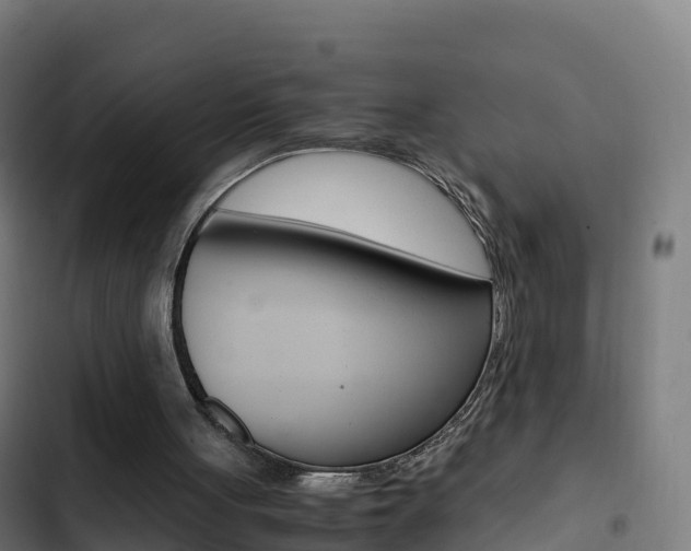 X0000103450051200809121135