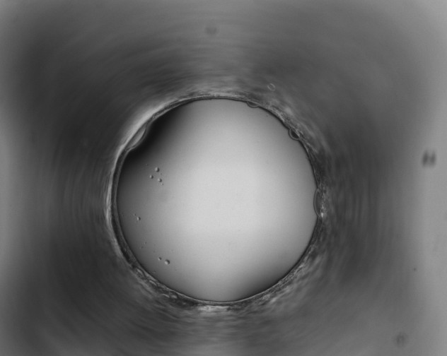 X0000103450052200809121135