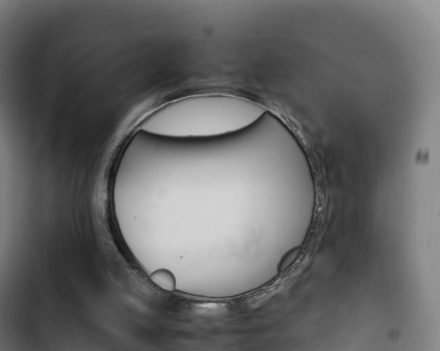 X0000103450053200809121135