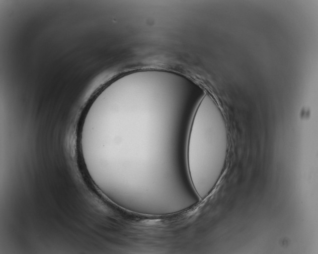 X0000103450054200809121135