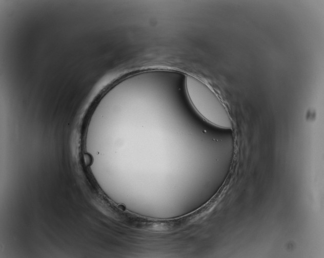 X0000103450056200809121135