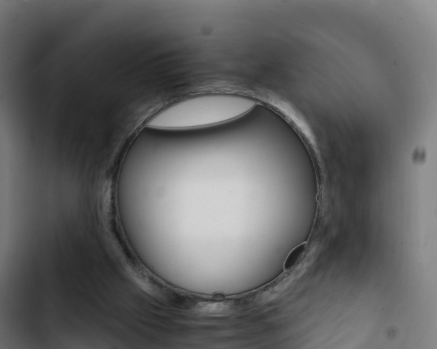 X0000103450057200809121135