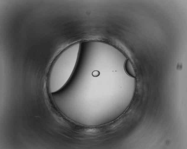 X0000103450059200809121135
