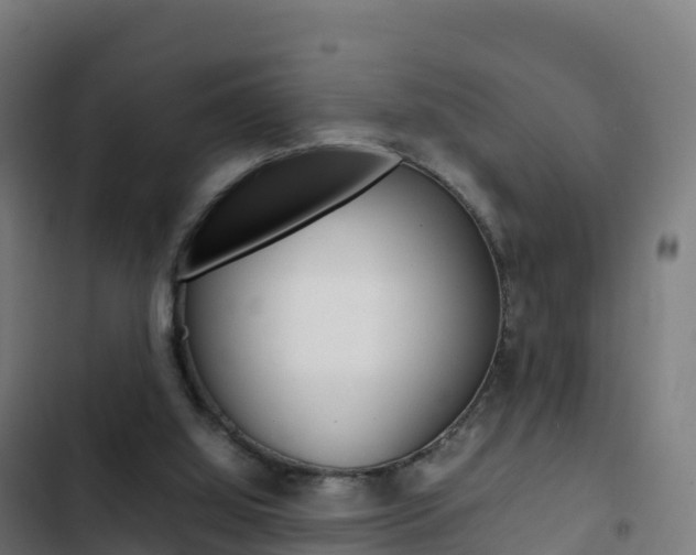 X0000103450060200809121135