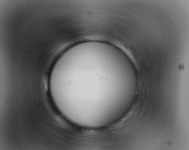 X0000103450062200809121135