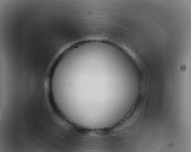 X0000103450064200809121135
