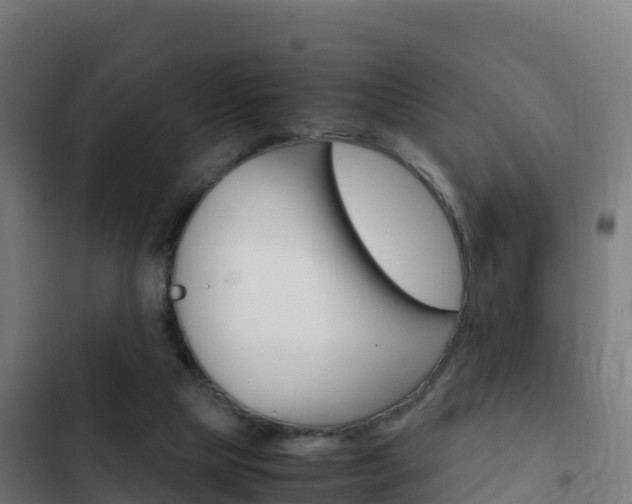 X0000103450065200809121135