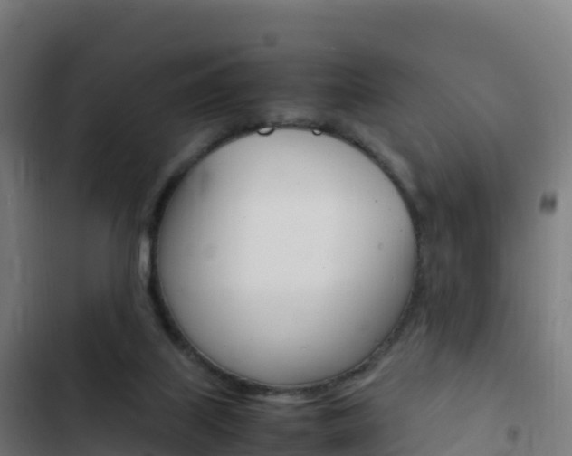 X0000103450067200809121135