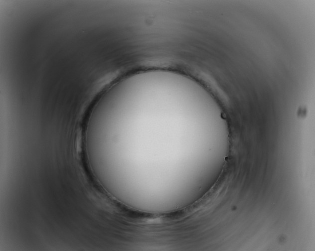 X0000103450068200809121135