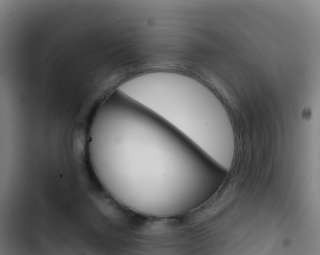 X0000103450072200809121135