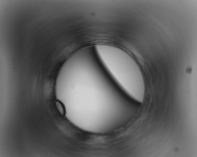 X0000103450073200809121135