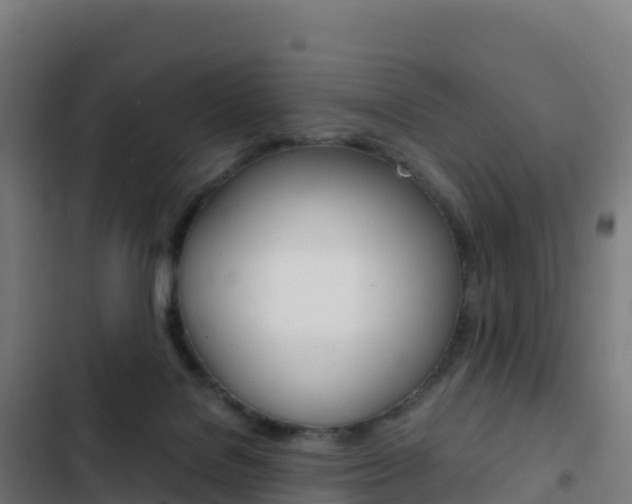 X0000103450076200809121135