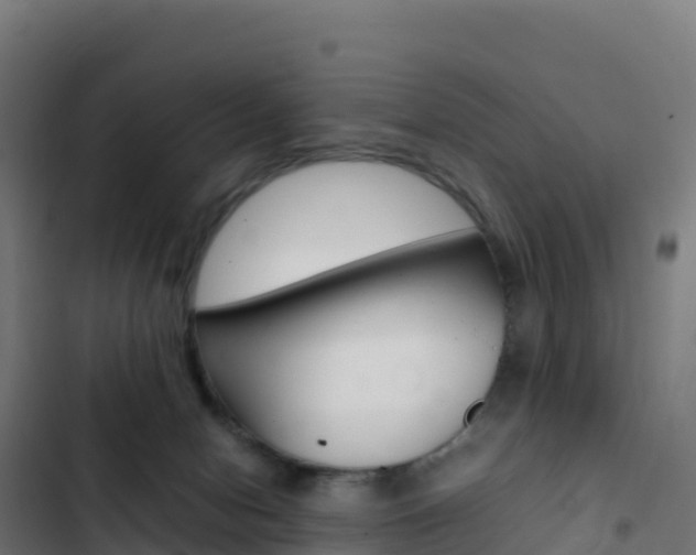 X0000103450078200809121135