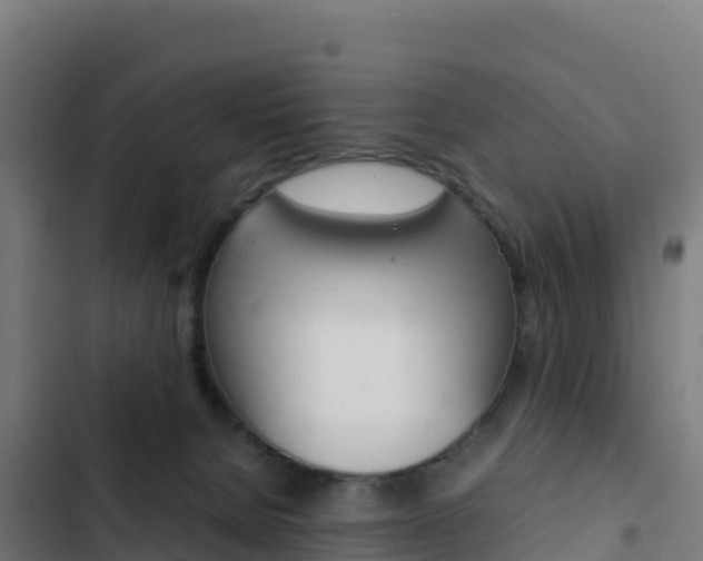 X0000103450080200809121136