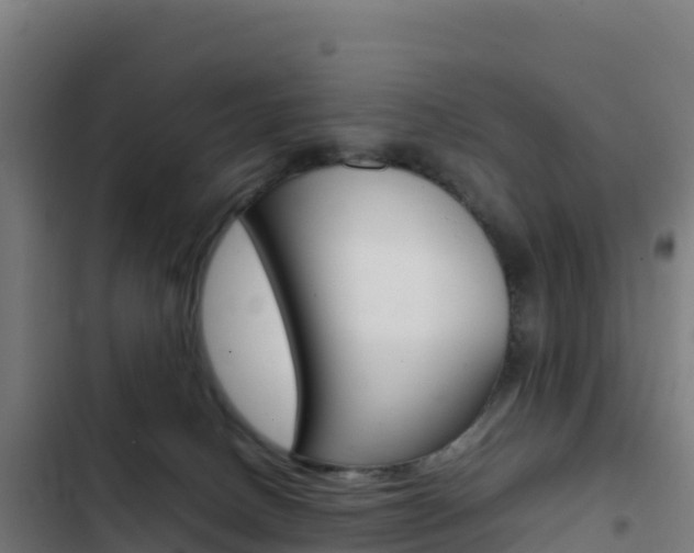 X0000103450082200809121136