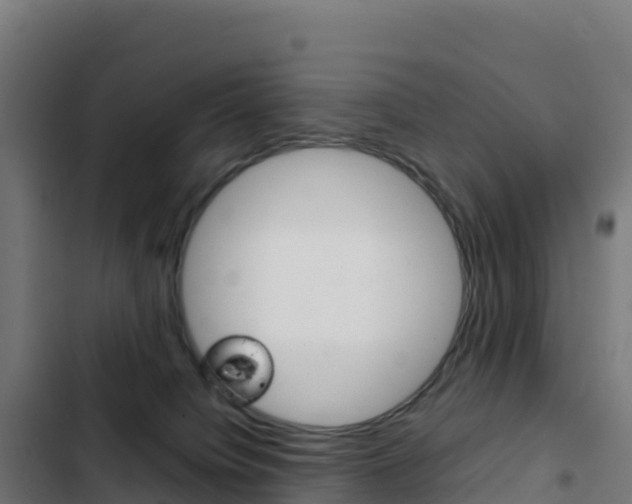X0000103450084200809121136