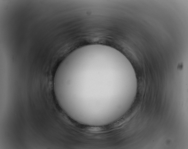 X0000103450085200809121136