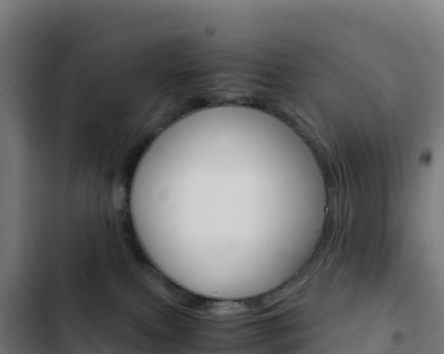 X0000103450087200809121136