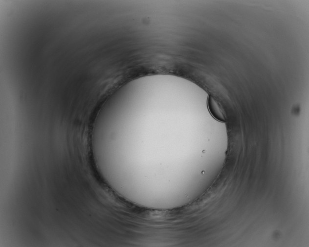 X0000103450088200809121136