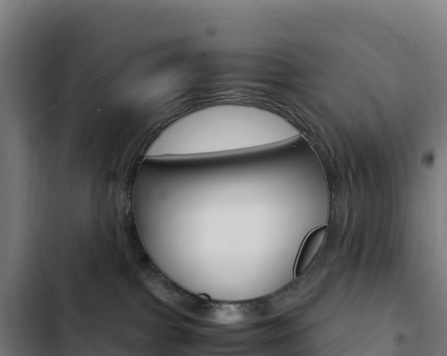 X0000103450091200809121136