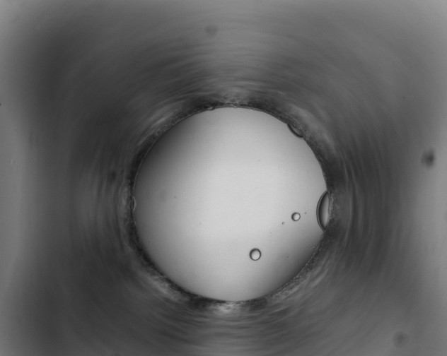 X0000103450092200809121136