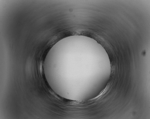 X0000103450094200809121136