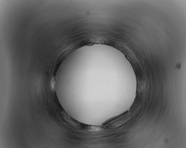 X0000103450095200809121136