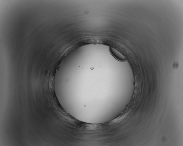 X0000103450096200809121136