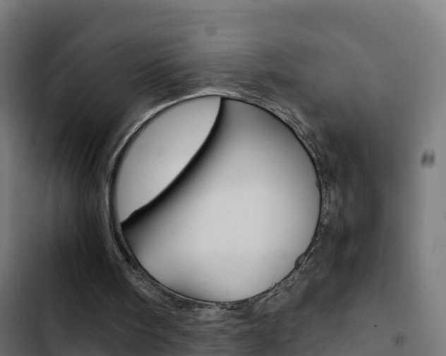 X0000103450098200809121135