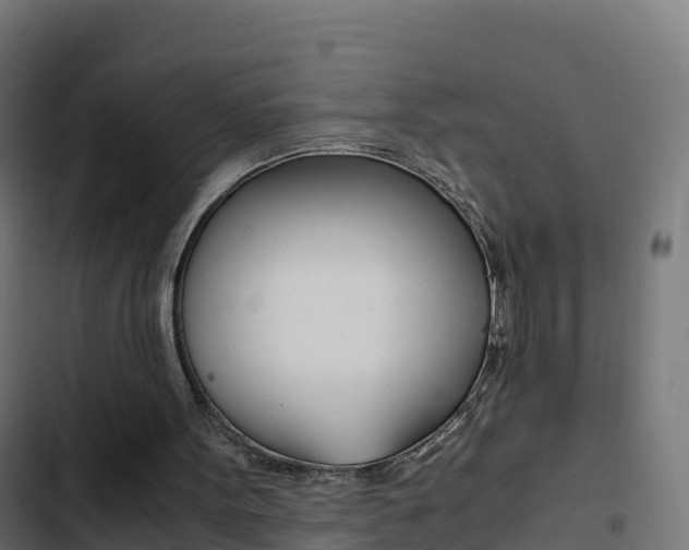 X0000103450099200809121135
